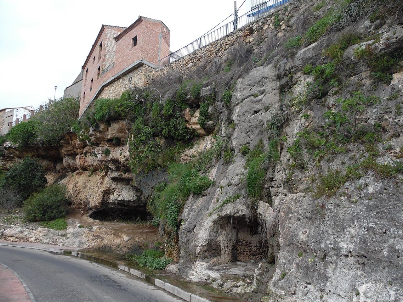 Parque Natural Sierra de Hornachuelos (Córdoba)