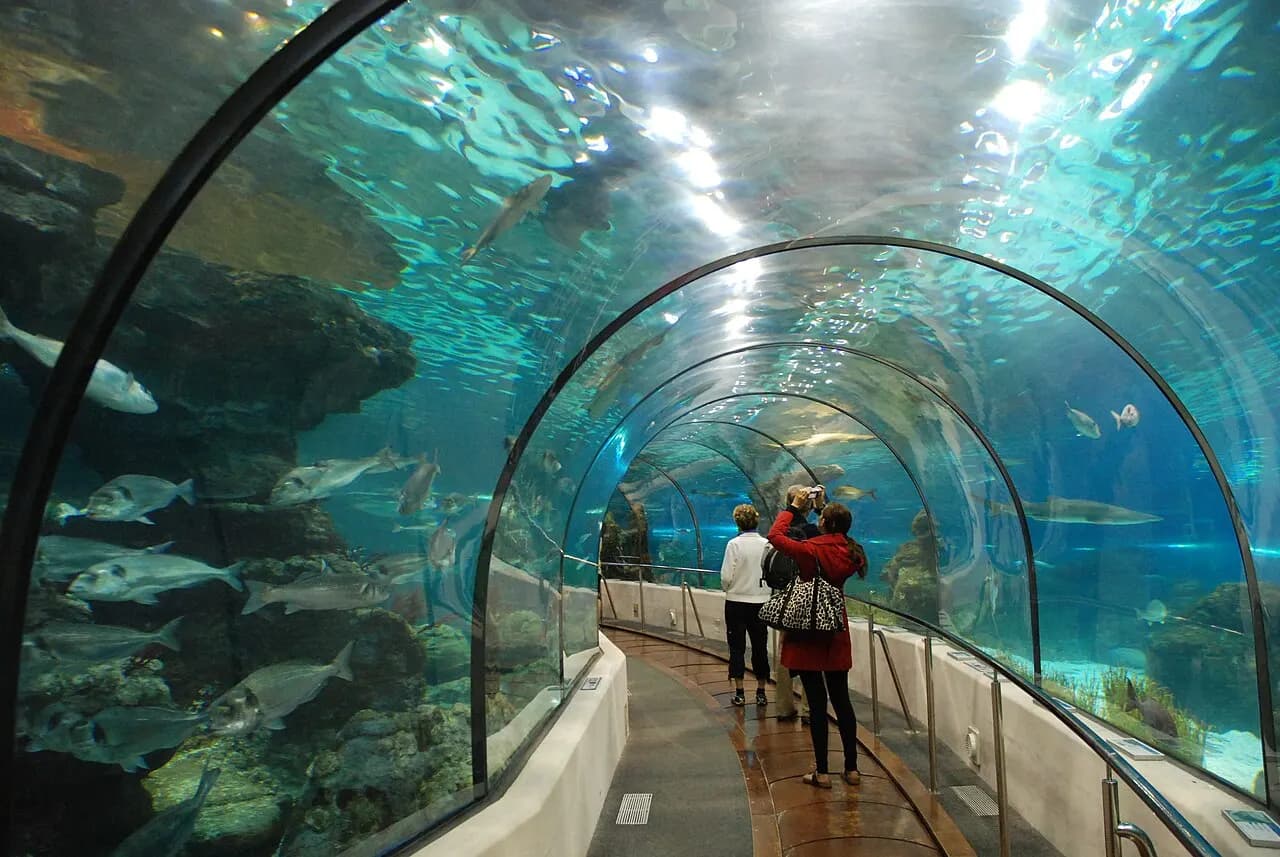 L'Aquàrium de Barcelona