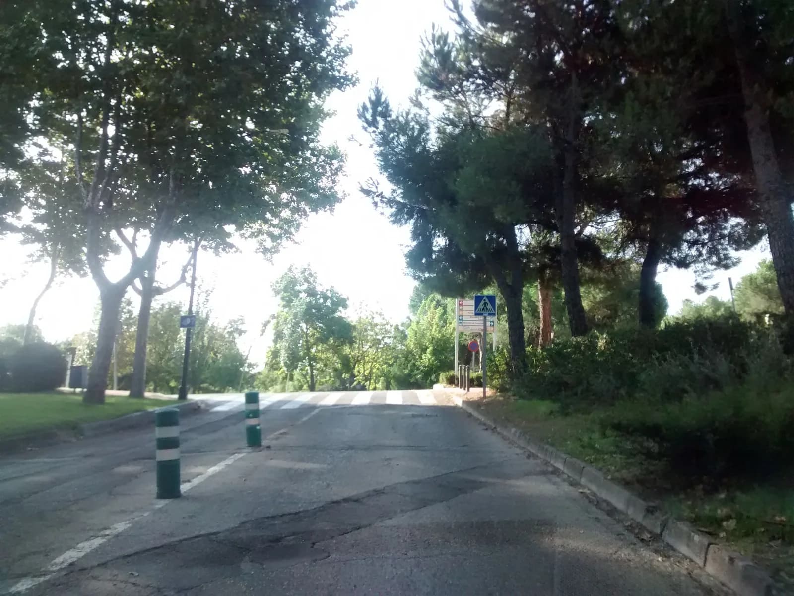 Avicena