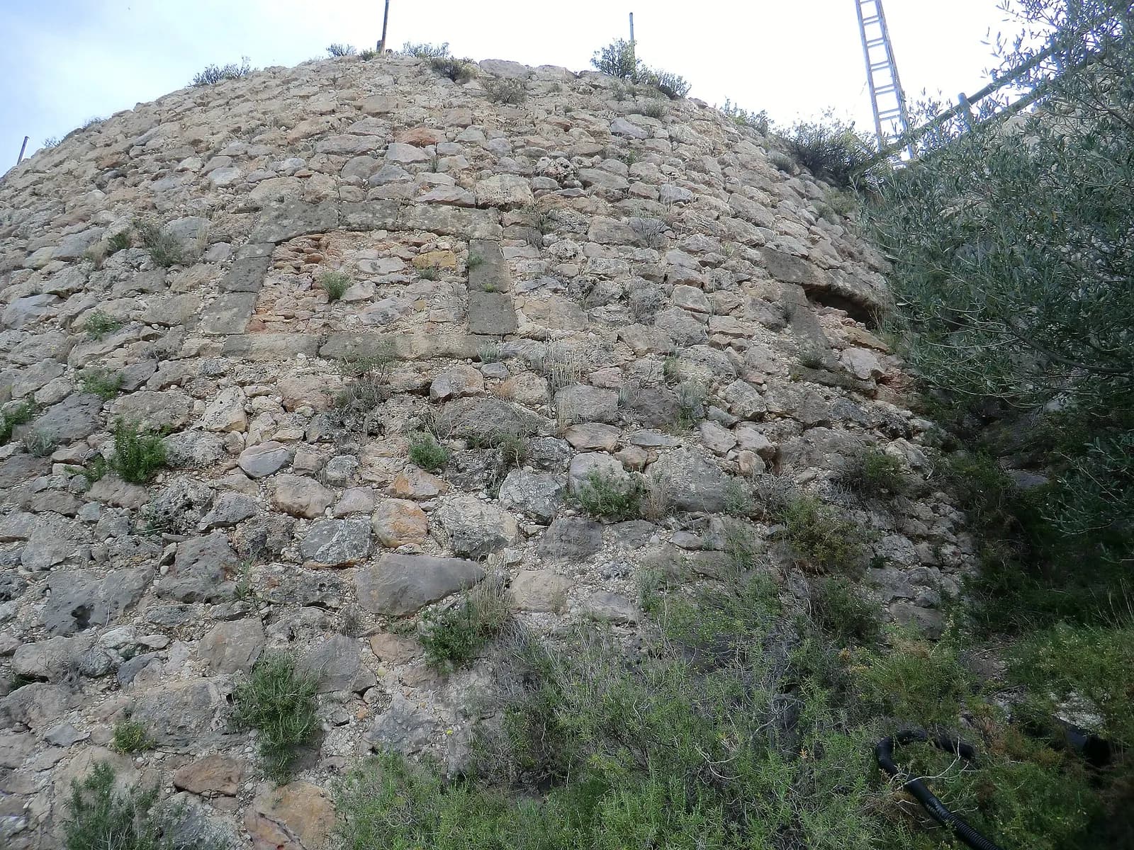 Castell d'Oliva