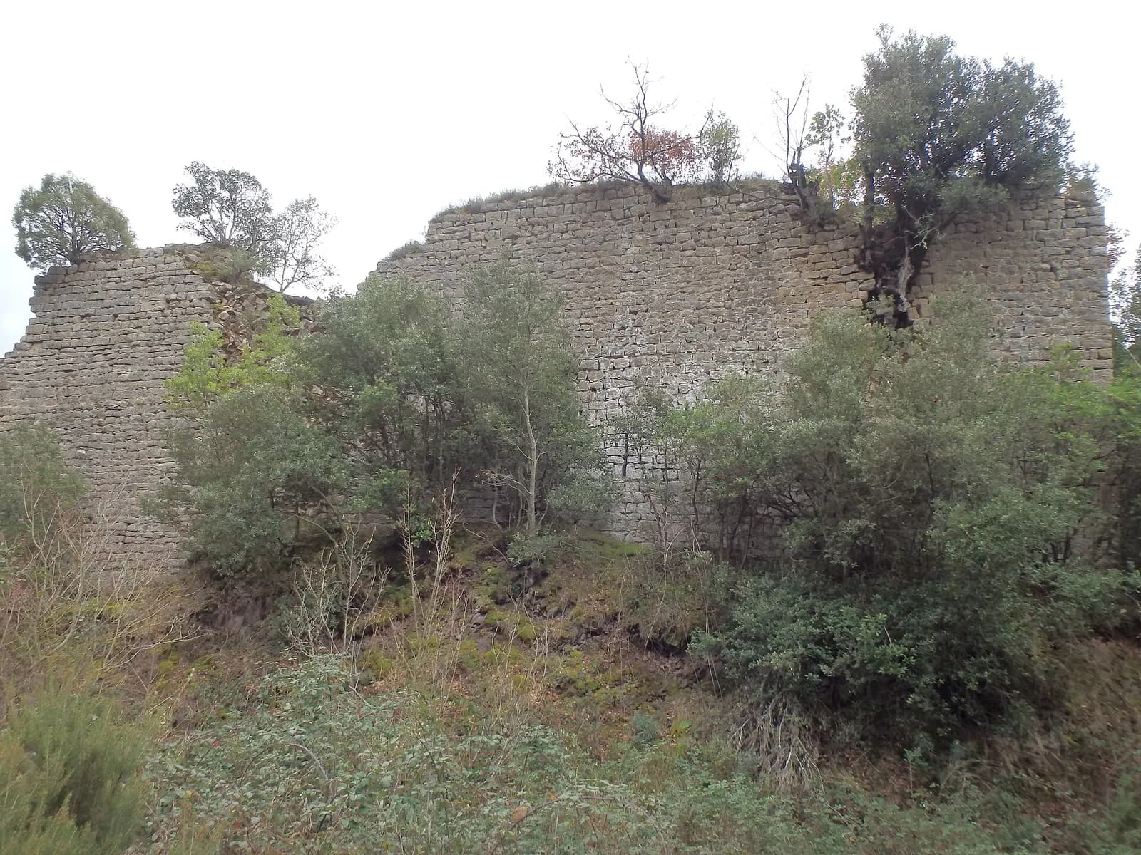 Castell de Fornils