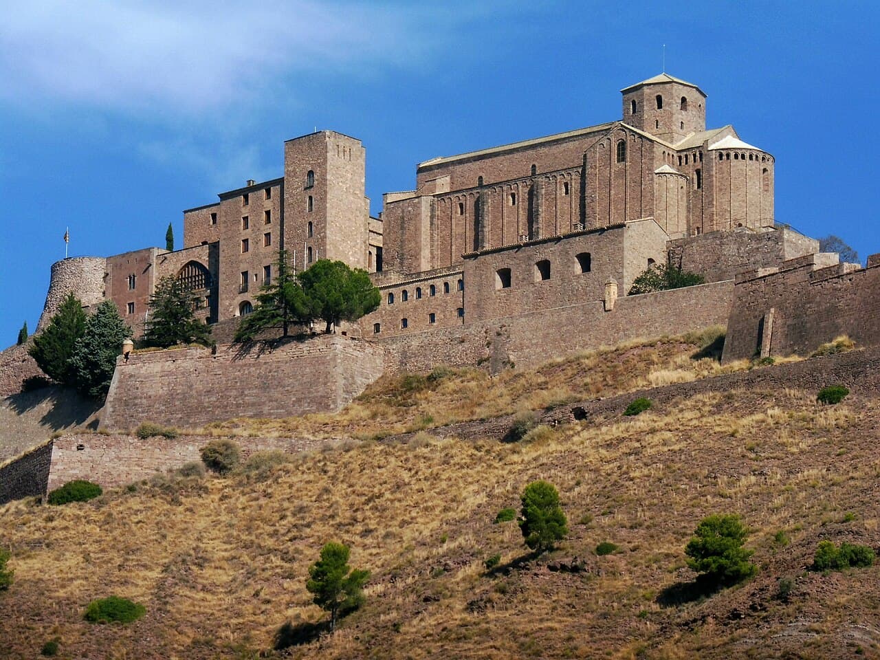 Castillo de Cardona