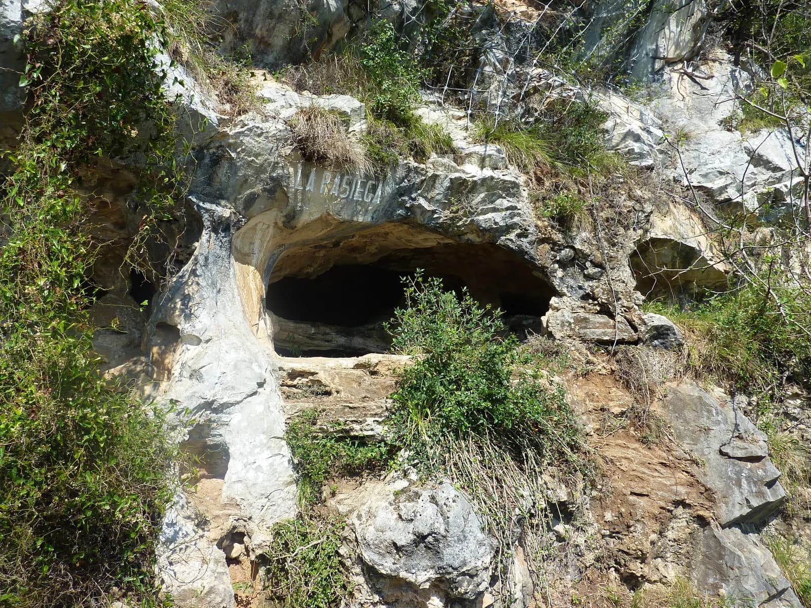 Cueva de La Pasiega