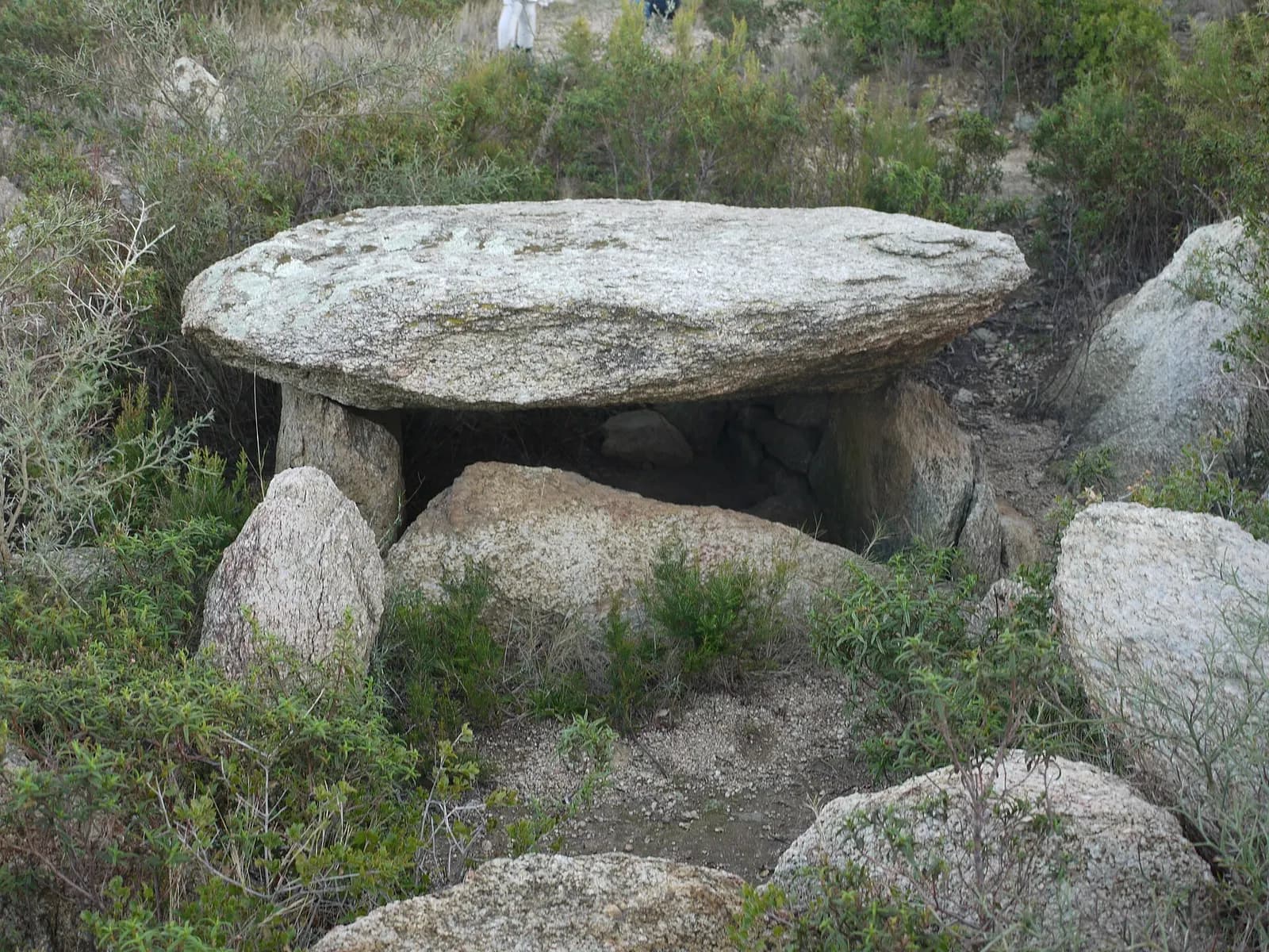 Dolmen dels Estanys III