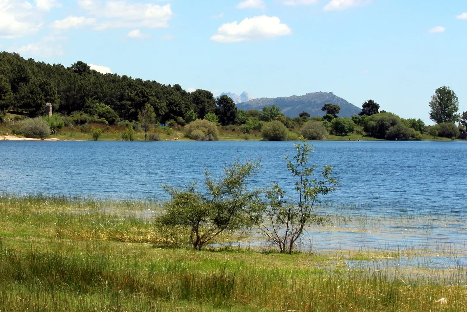 Embalse de La Jarosa