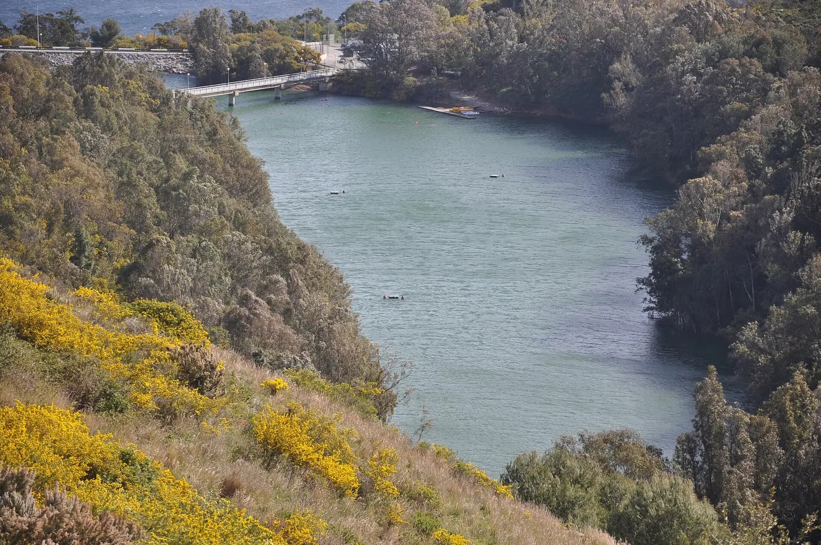 Embalse del Renegado