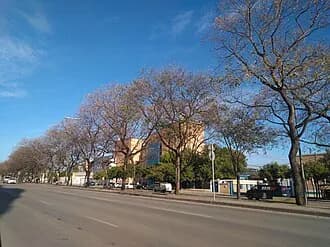 Estadio Municipal de Chapín (Jerez)