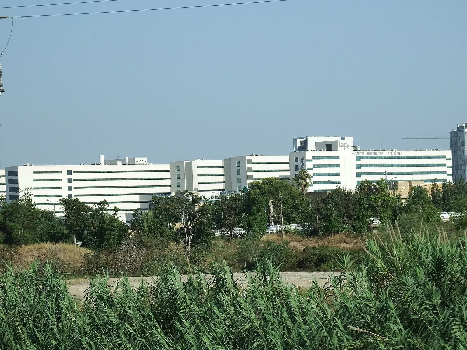Hospital Universitario y Politécnico La Fe