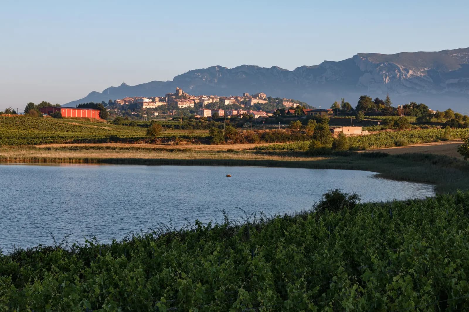 Laguna de Carralogroño