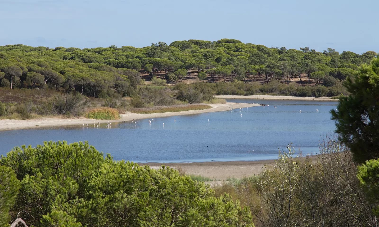 Laguna de El Portil
