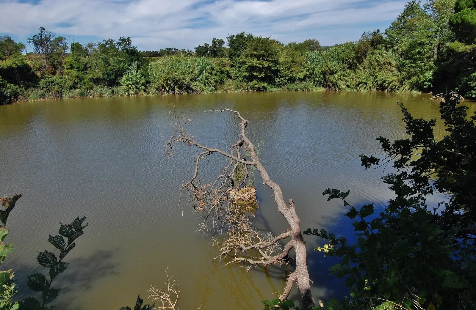 Llac de Can Codorniu