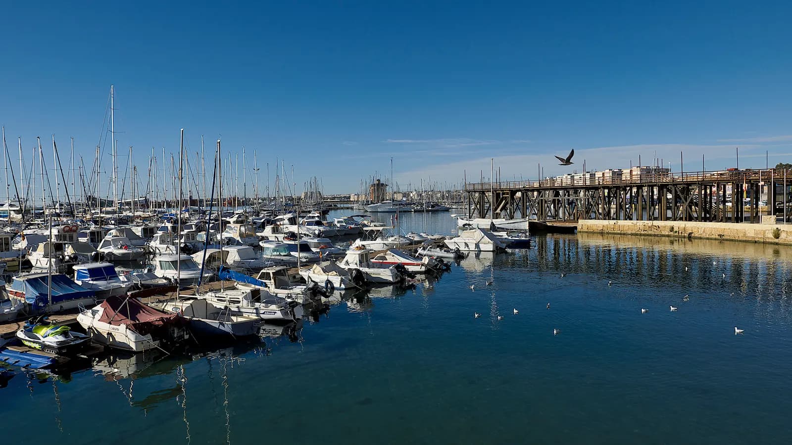 Marina Internacional de Torrevieja