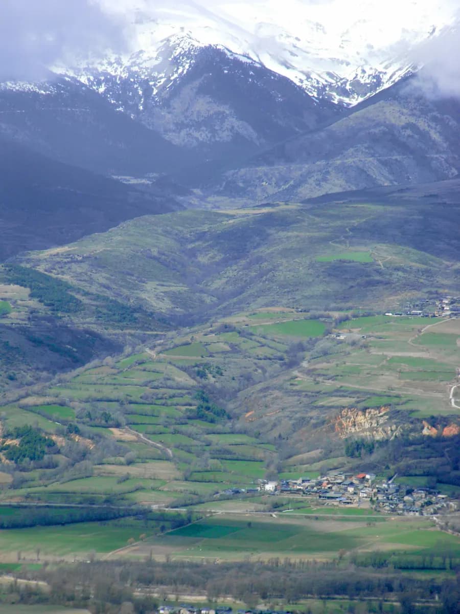 Masella