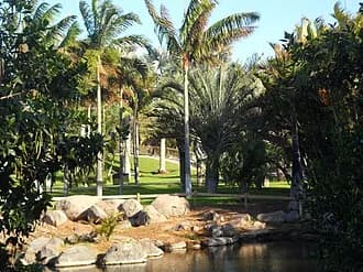 Palmetum (Santa Cruz de Tenerife)