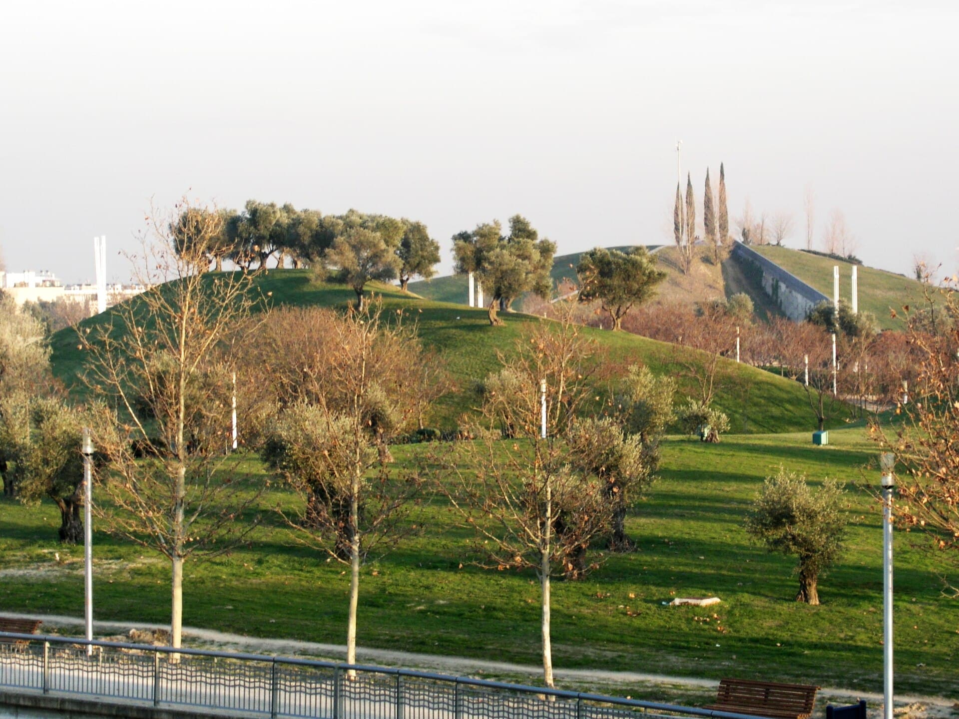 Parque Juan Carlos I (Madrid)