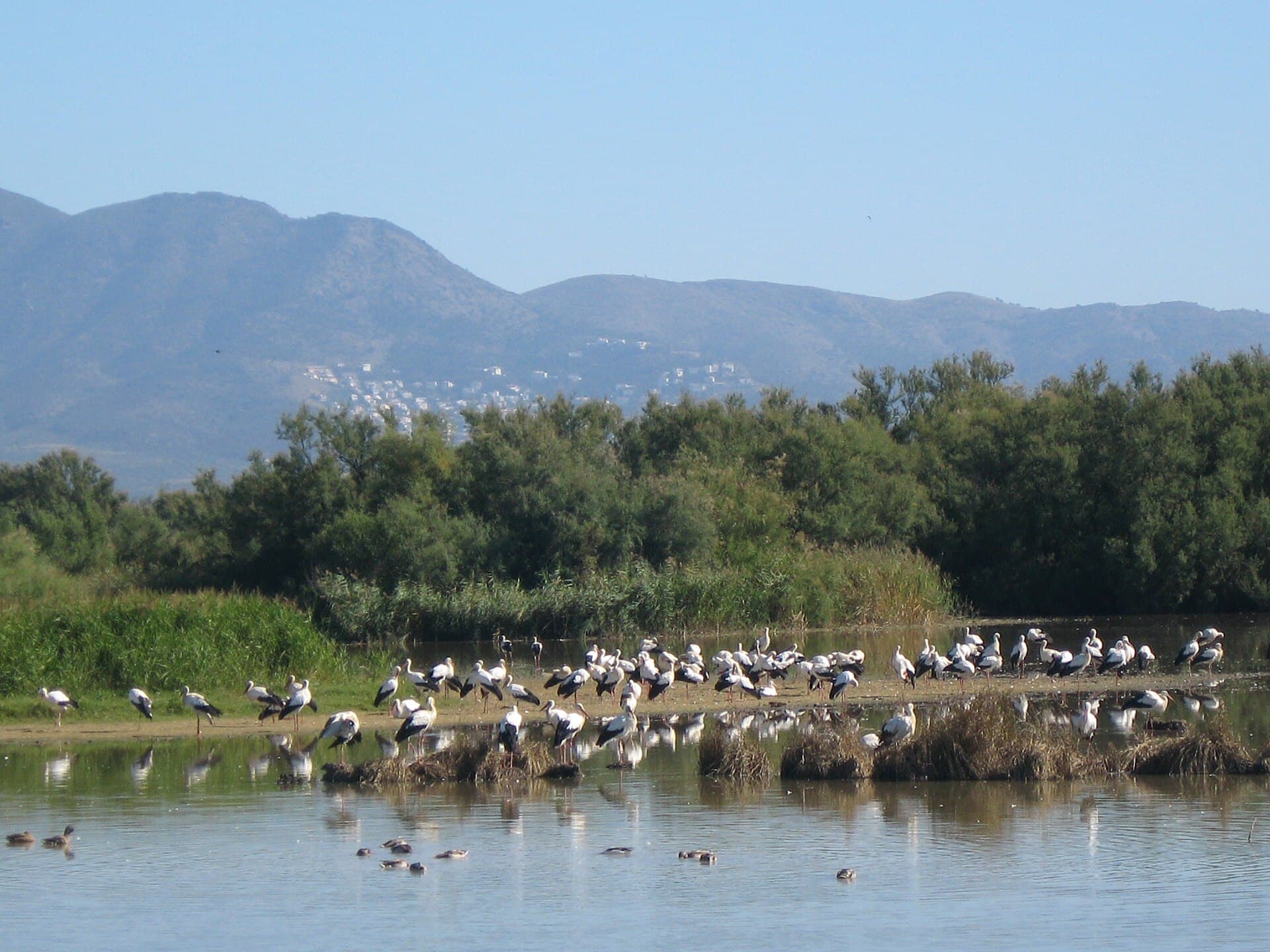 Parque Natural dels Aiguamolls de l'Empordà
