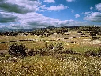 Parque Natural Sierra de Aracena y Picos de Aroche