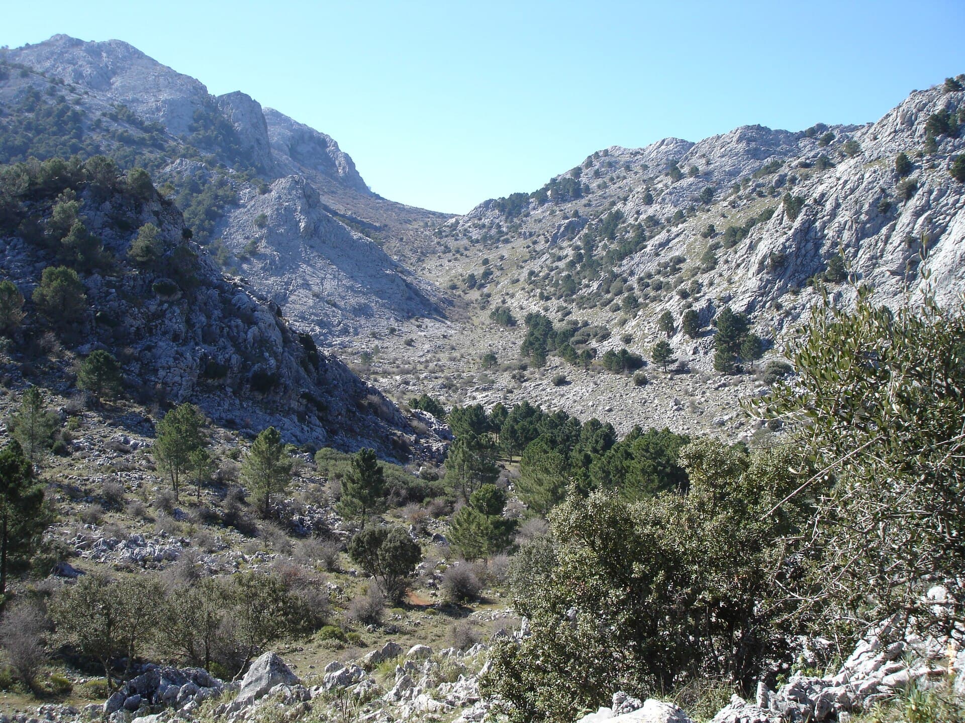 Parque Natural Sierra de Grazalema