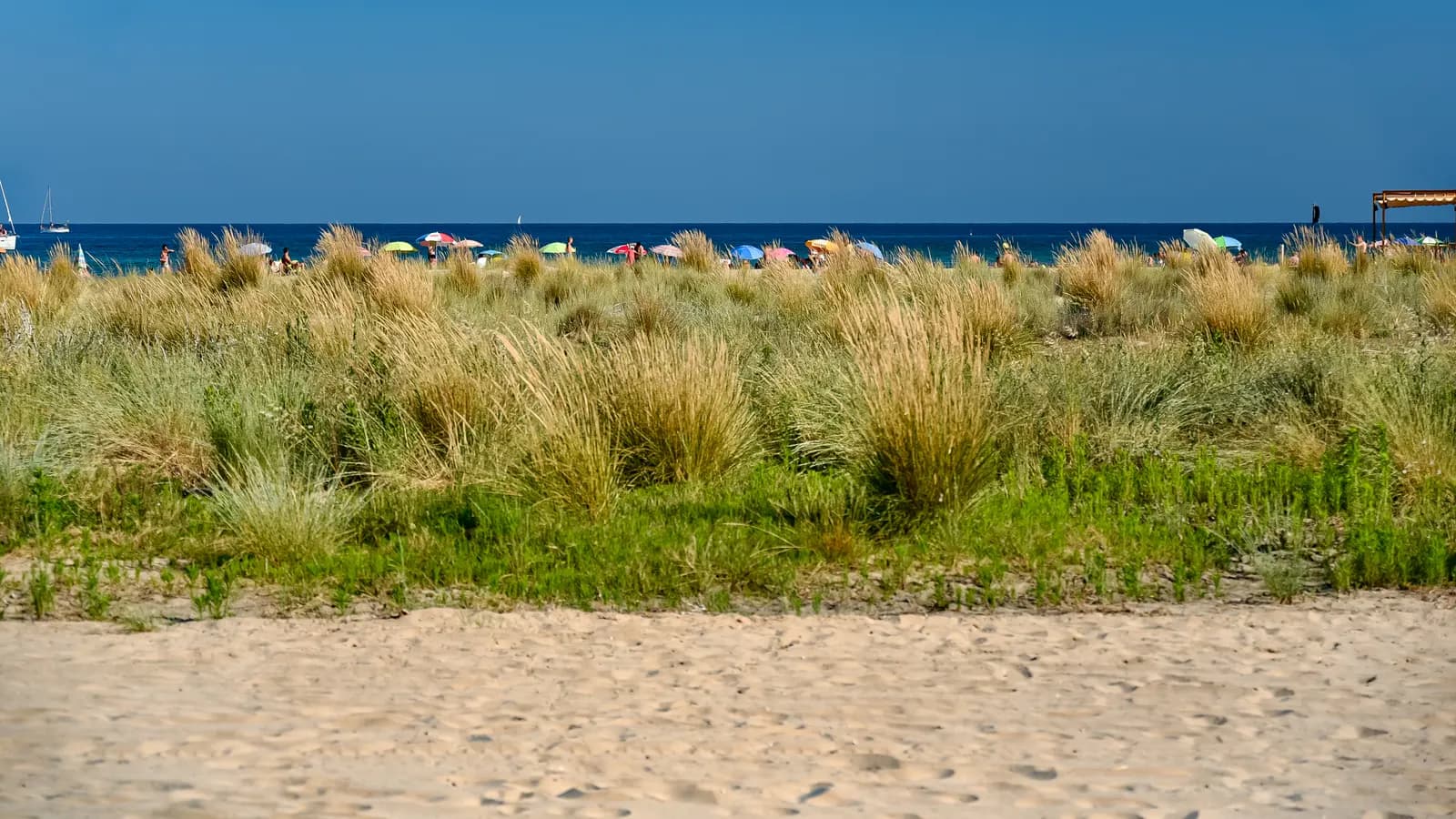 Platja de la Paella
