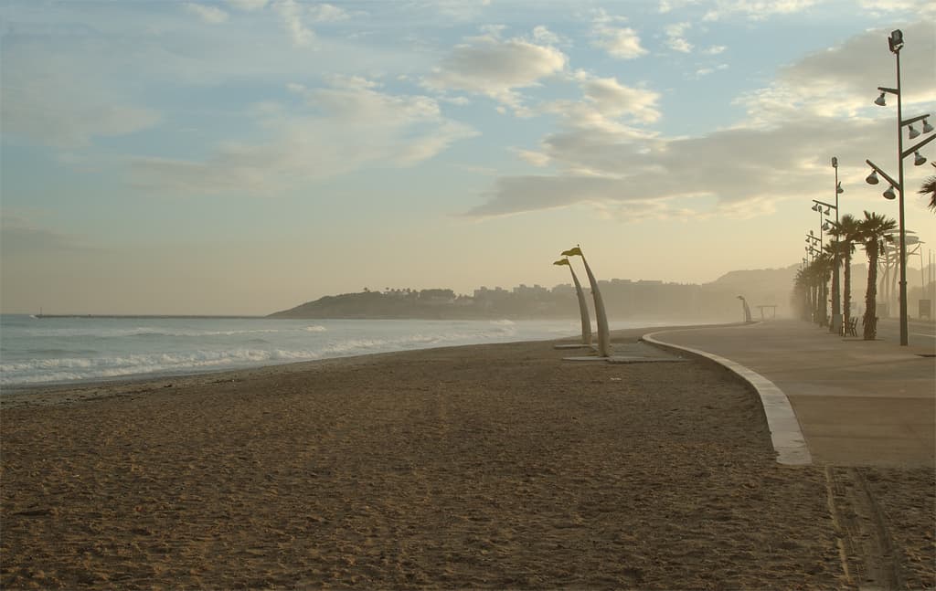 Playa de la Pineda (Vila-seca)