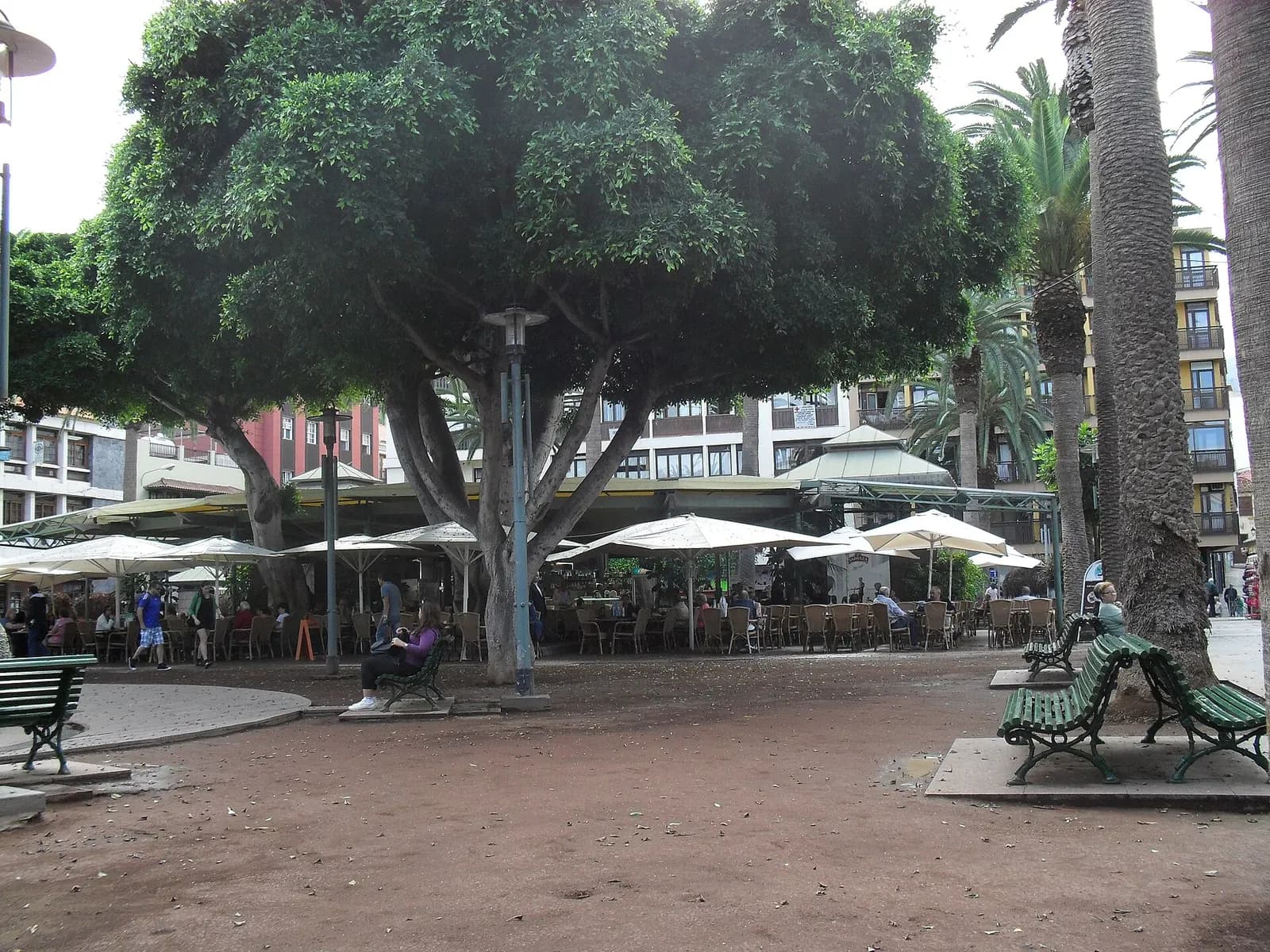 Plaza del Charco (Puerto de la Cruz)