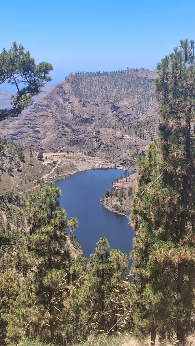 Presa del Mulato