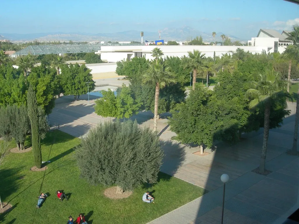 Universidad de Alicante