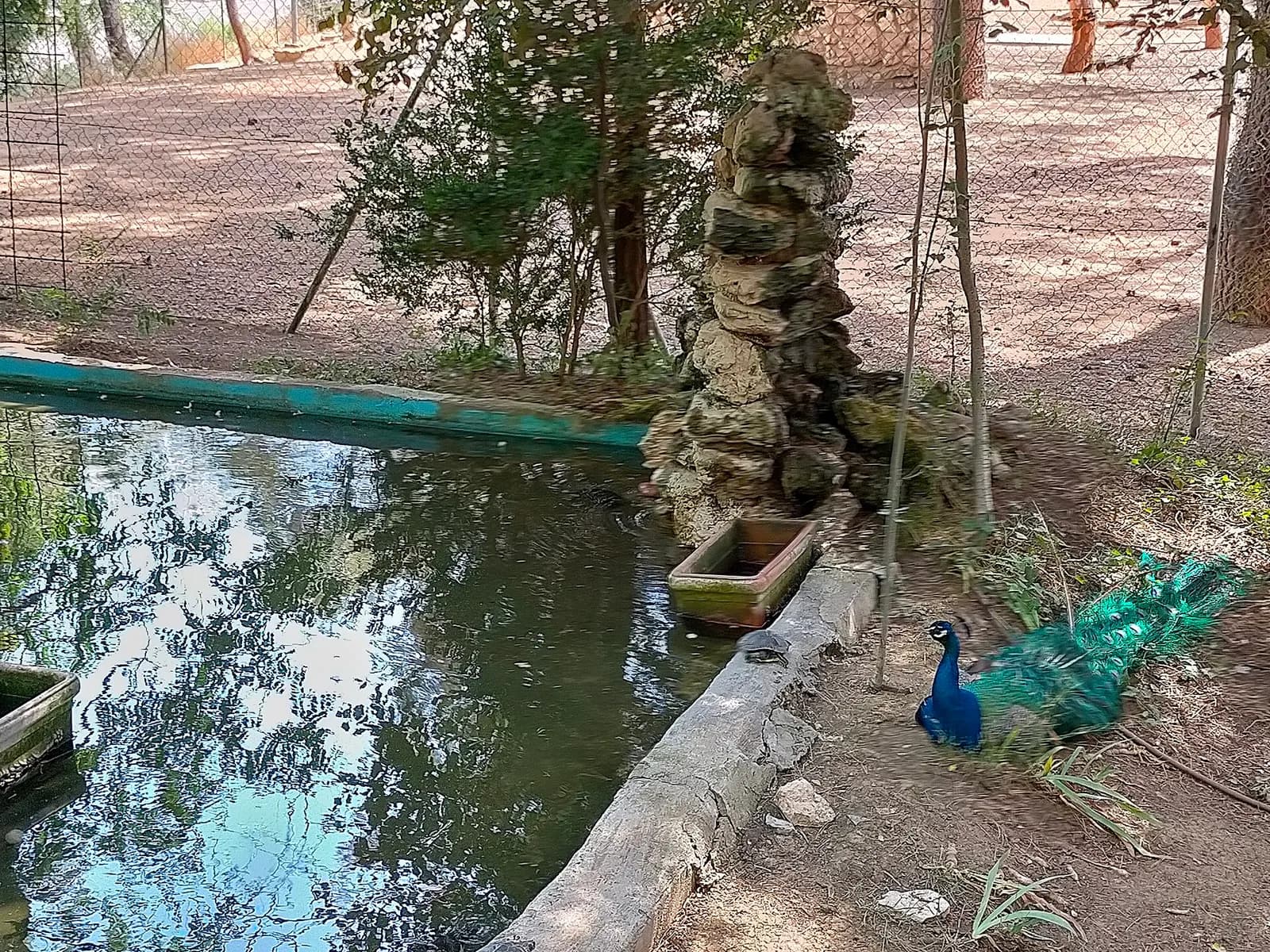 Zoo municipal de Guadalajara