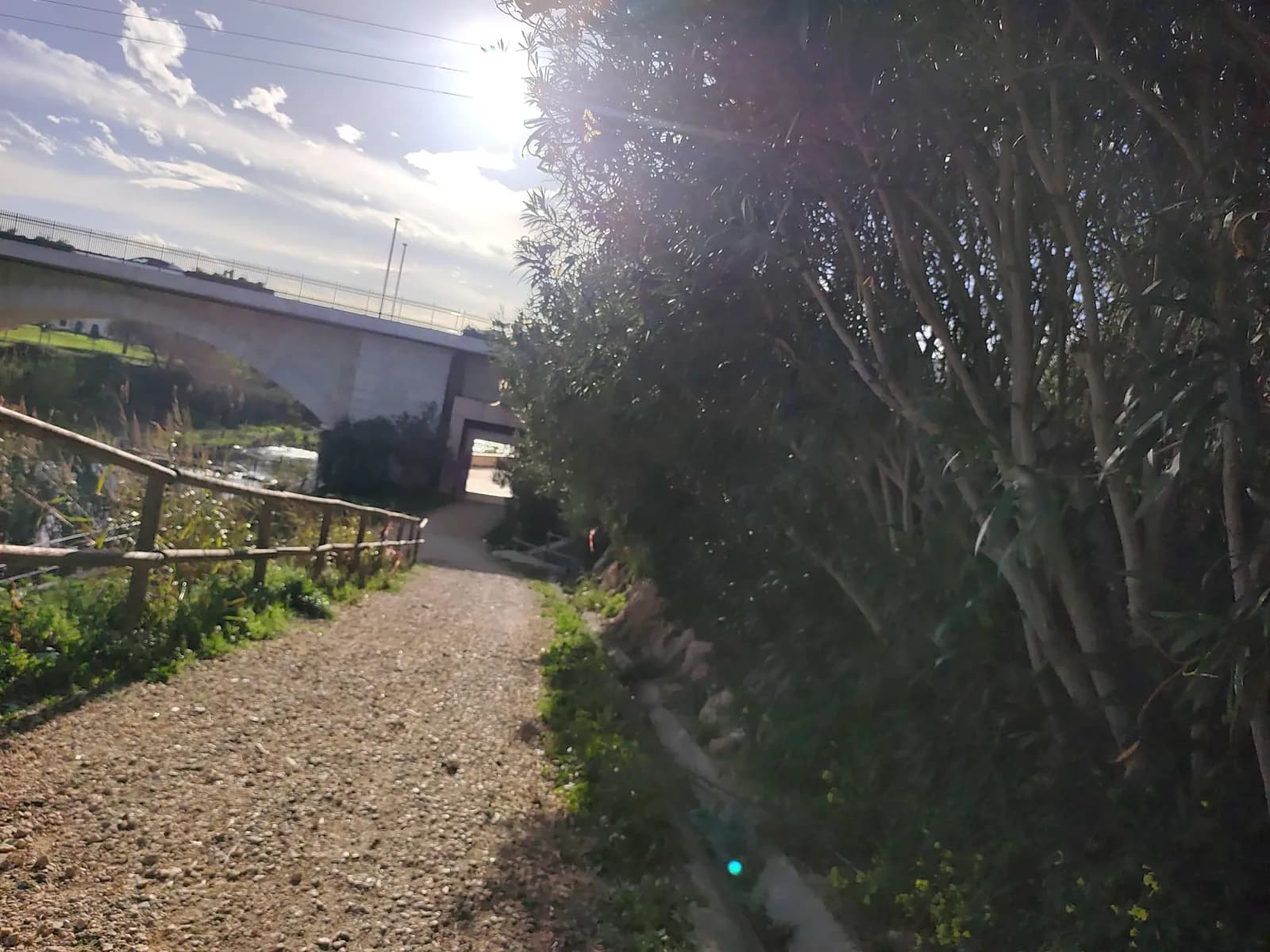 Parking Público Gratuito en Gandia (Valencia)