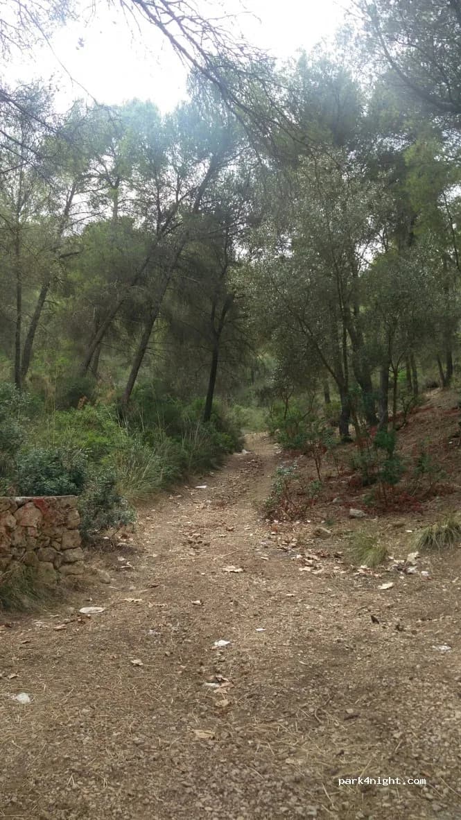 Parking gratuito Son Servera - 76 Carrer del Doctor Servera en Son Servera (Illes Balears)