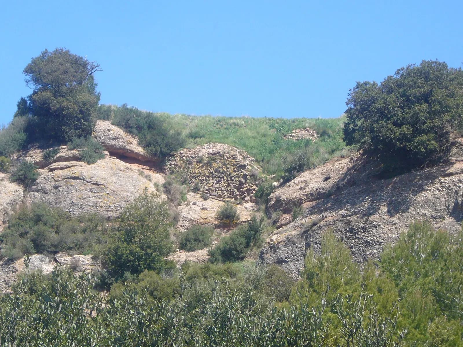 Castell de la Guàrdia de Monsterrat