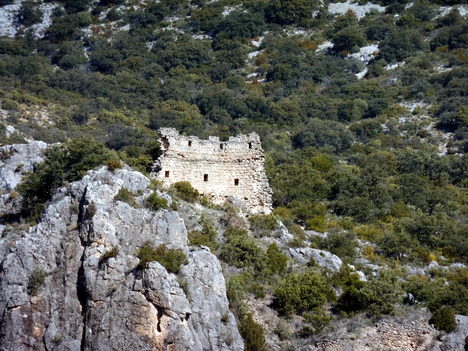 Castell de Montaspre