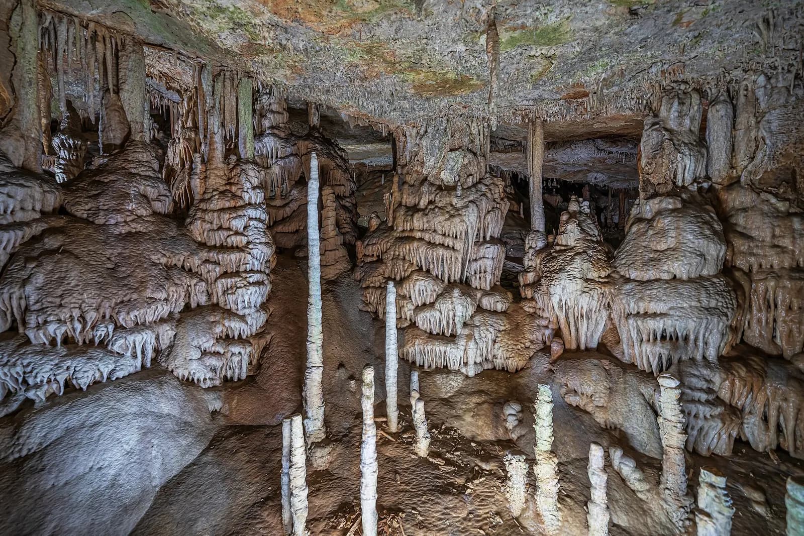 Coves de Campanet