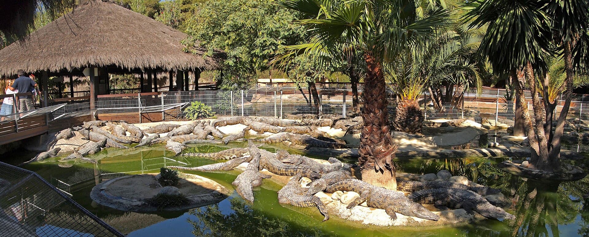 Crocodile Park (Torremolinos)
