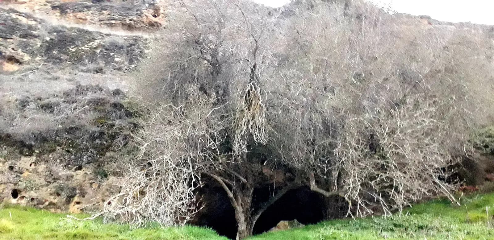 Cueva de la Vaquera (sur)