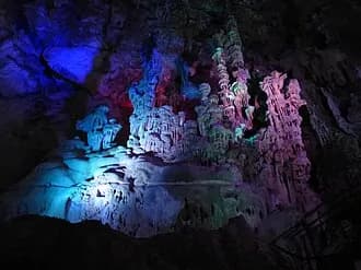 Cuevas de Canelobre (Busot)