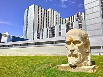 Hospital Universitario Ramón y Cajal