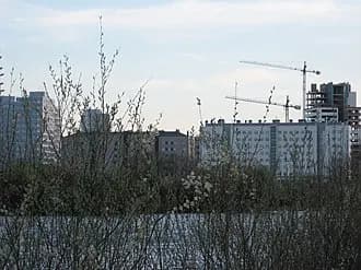 Humedal de Salburua (Vitoria)