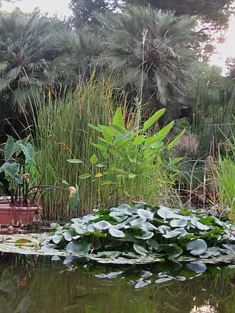 Jardín del Turia (Valencia)