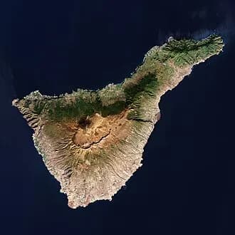 Jungle Park - Las Águilas (Tenerife)