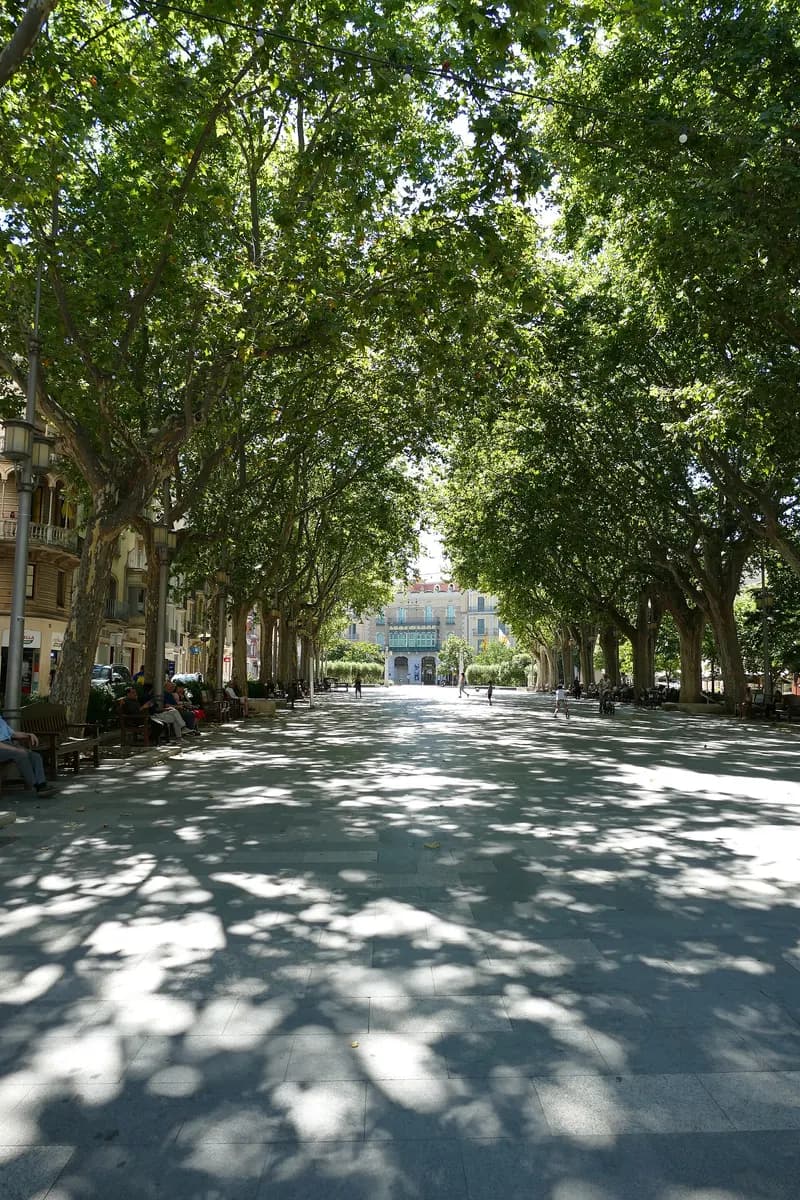 La Rambla