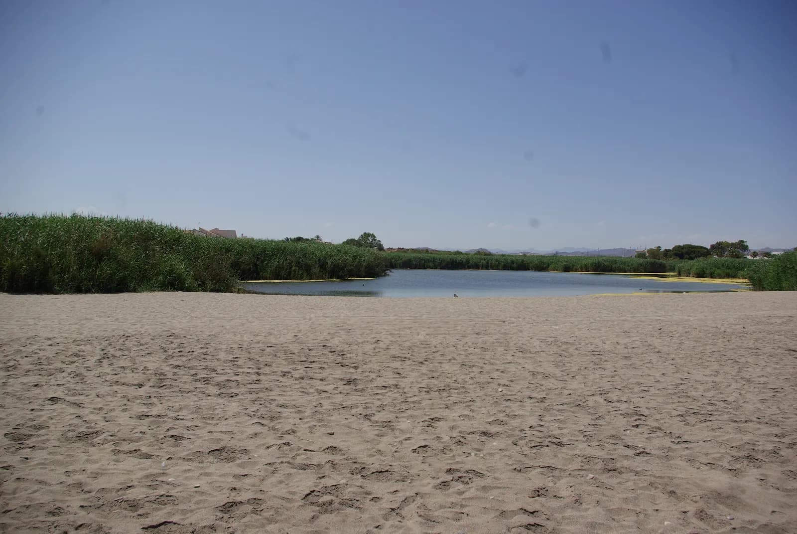 Laguna de Puerto Rey