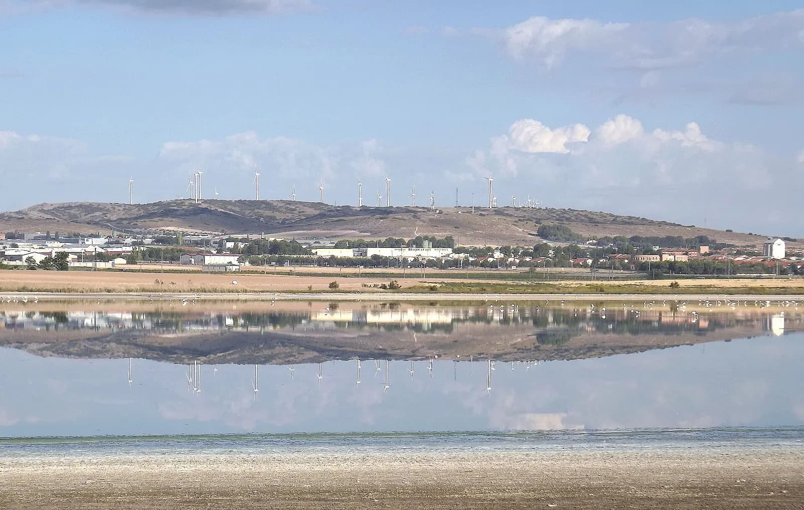 Laguna Larga (Villacañas)