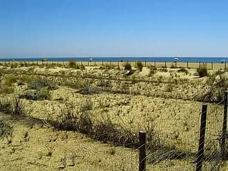 Marismas del Odiel (Huelva)