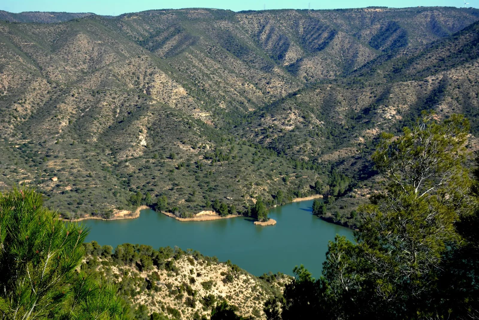 Pantà de Riba-roja