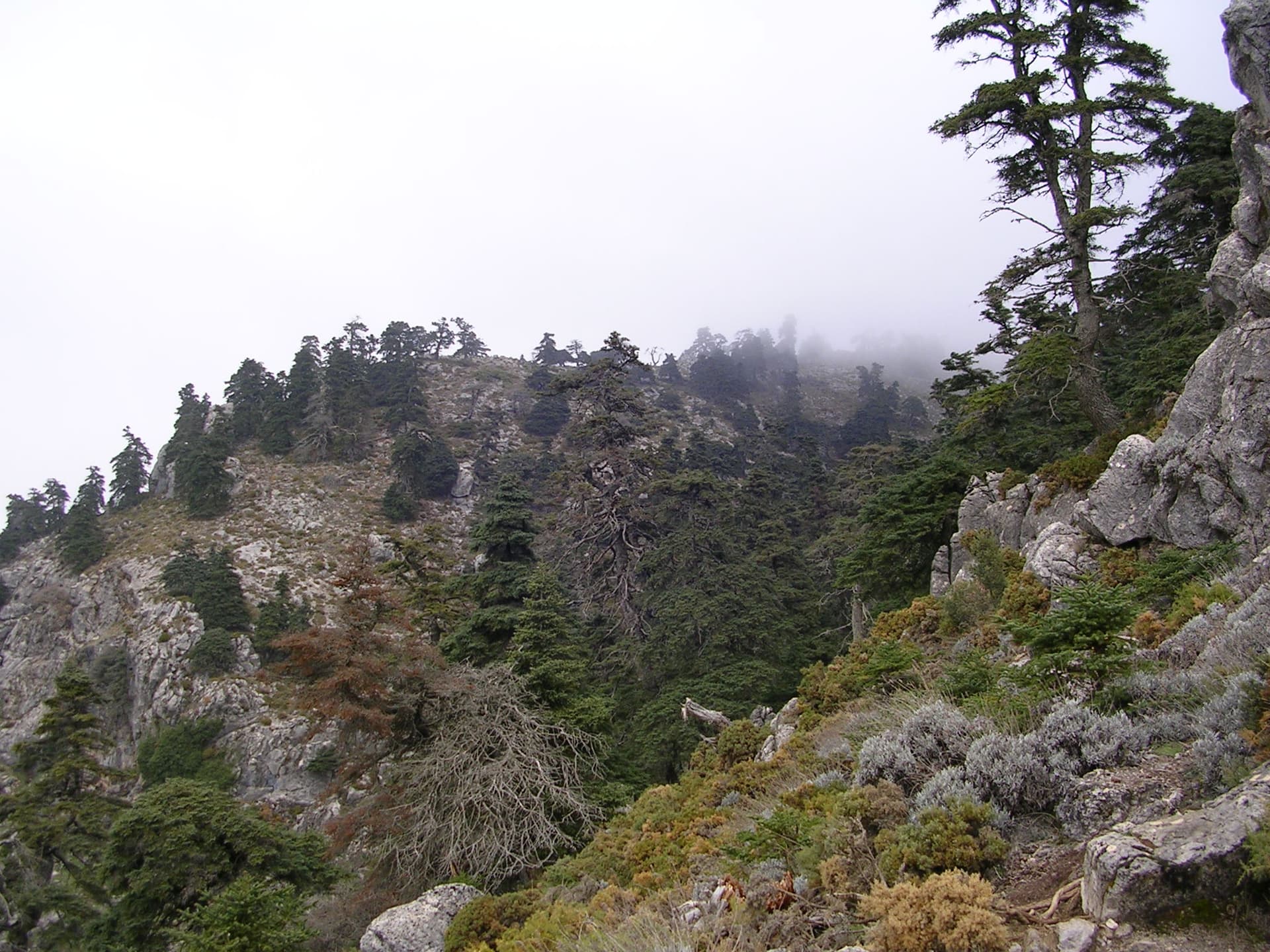 Parque Nacional Sierra de las Nieves