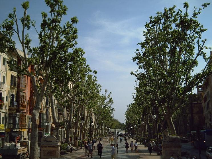 Paseo Marítimo de Palma