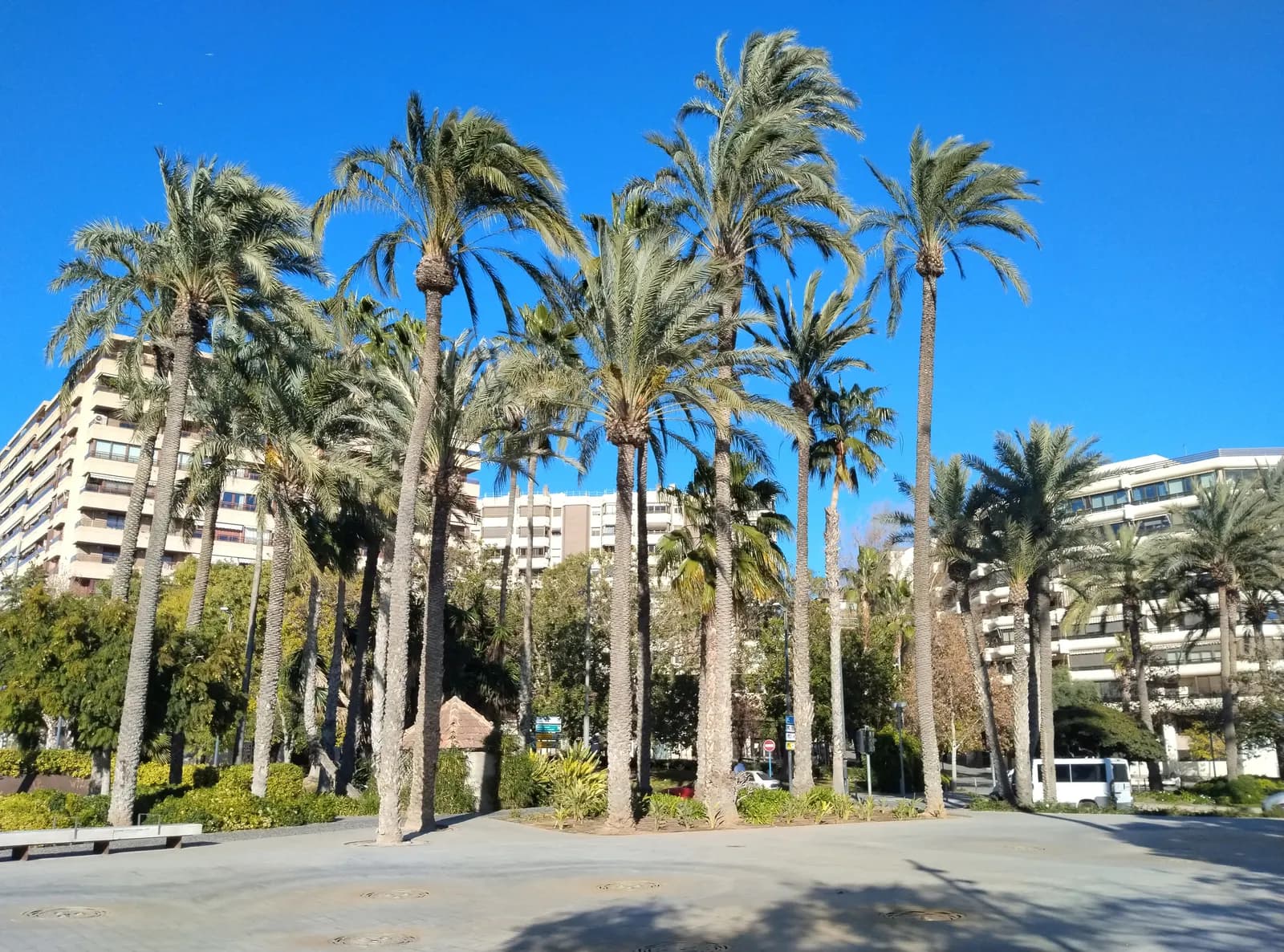 Plaça de l'Arquitecte Miguel López