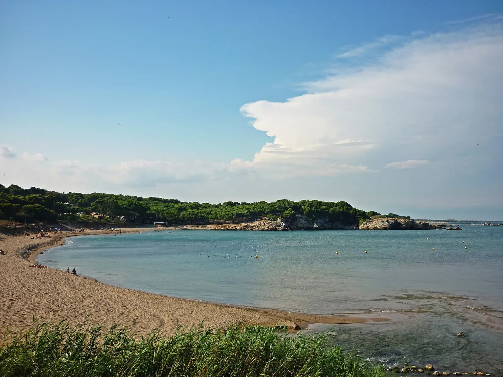 Platja del Rec del Molí