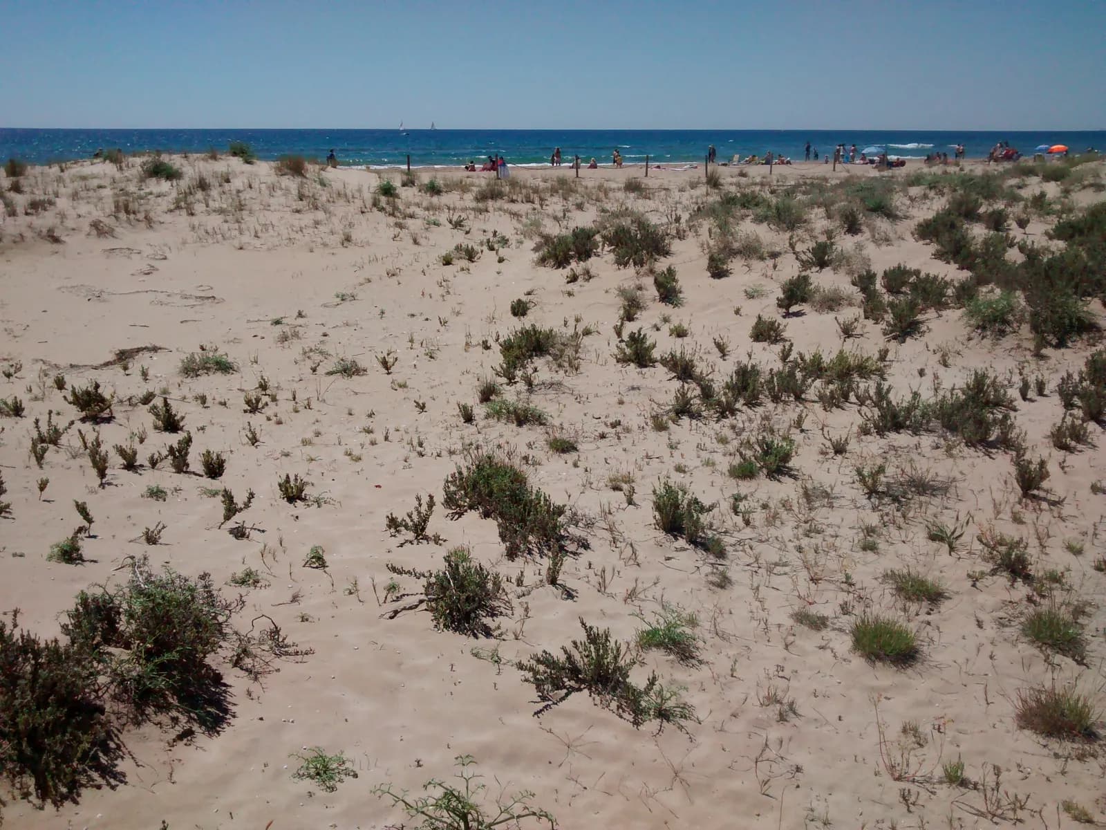 Platja dels Muntanyans